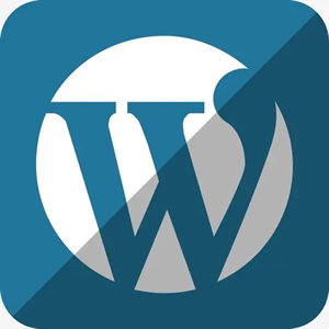 WordPress英文网站开发