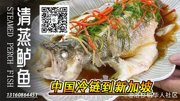 罗非鱼金枪鱼生蚝海运到新加坡冷链负18度运输