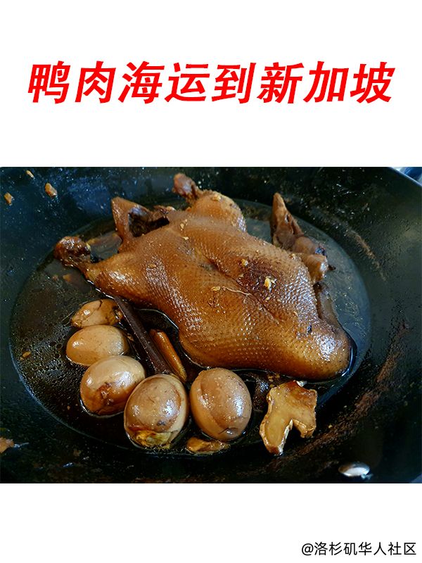 冷冻食品：鸭肉/烧鸭/卤鸭/鲜鸭/烤鸭海运到新加坡！