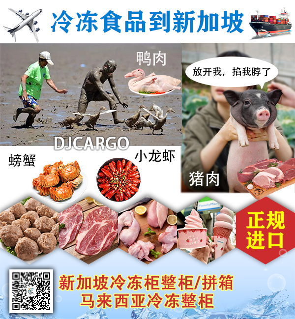 如何运输福袋-鱼饺-蟹肉棒到新加坡-冷冻食品到新加坡