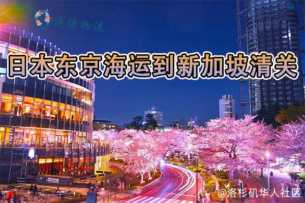 【新加坡清关】日本东京港海运整柜到新加坡港清关服务