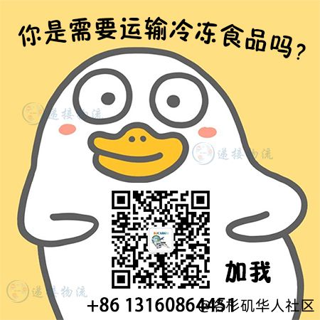 牛肉鹅肉羊肉海运冷链到新加坡全程时效10天