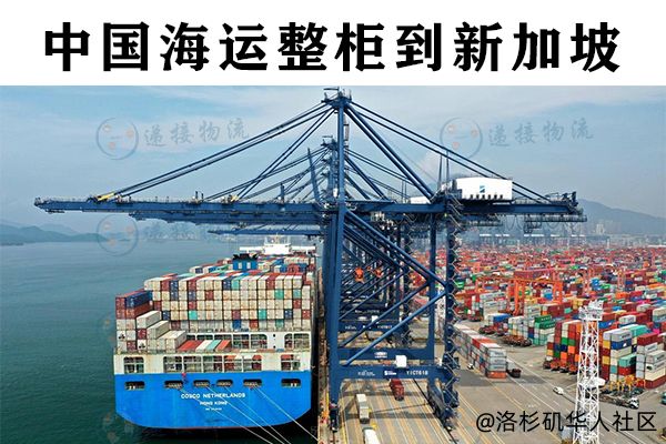 中国海运整柜/拼箱到新加坡【新加坡本土公司清关派送】
