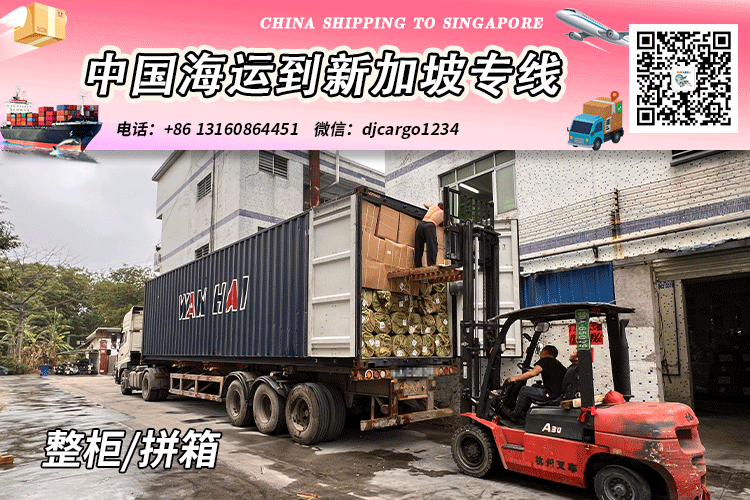 中国油漆、机器设备、建筑材料海运到新加坡SG→小詹