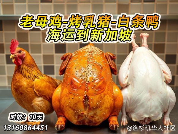 乳猪海运到新加坡全解析：-18℃冷冻10天直达操作流程